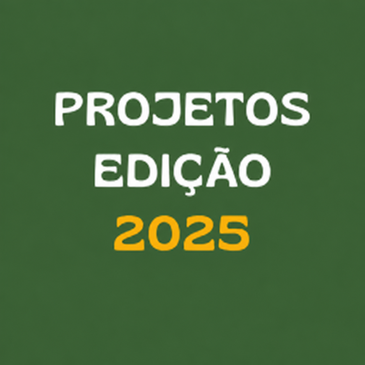 projetos2024
