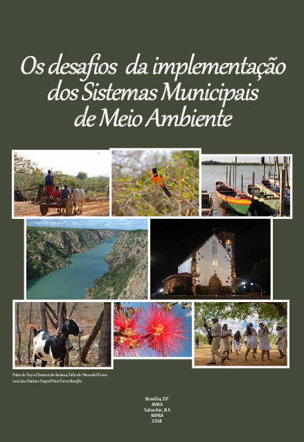 Os desafios da implementação dos Sistemas Municipais de Meio Ambiente